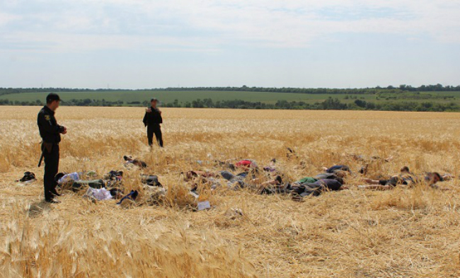 Що таке аграрне рейдерство в Україні?