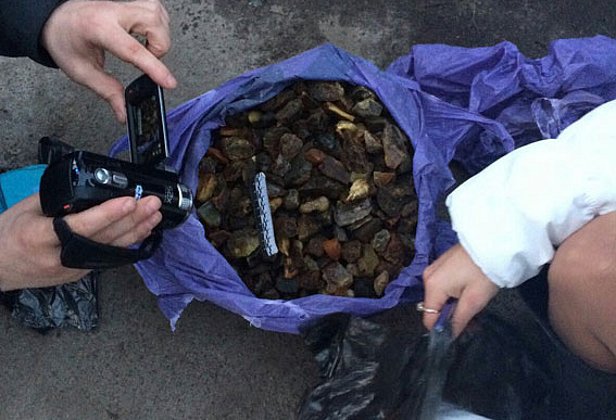 На Рівненщині за добу вилучили понад 65 кілограмів бурштину
