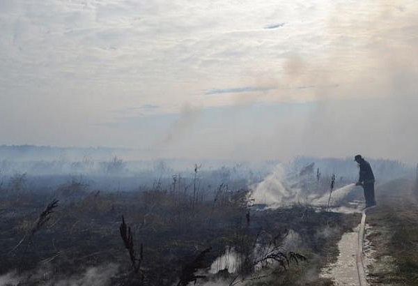 На Київщині рятувальникам залишилося загасити понад 3 га тління торфу